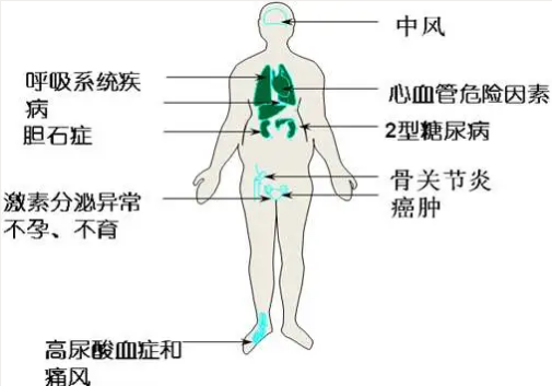 点击新窗口打开大图