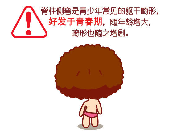 脊柱3.png